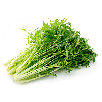 水菜