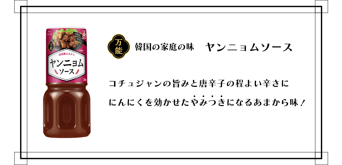 万能　韓国の家庭の味　コチュジャンの旨みと唐辛子の程よい辛さににんにくを効かせたやみつきになるあまから味！
