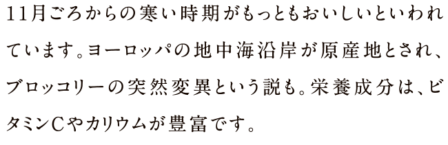 11月ごろからの寒い時期がもっともおいしいといわれています。ヨーロッパの地中海沿岸が原産地とされ、ブロッコリーの突然変異という説も。栄養成分は、ビタミンCやカリウムが豊富です。