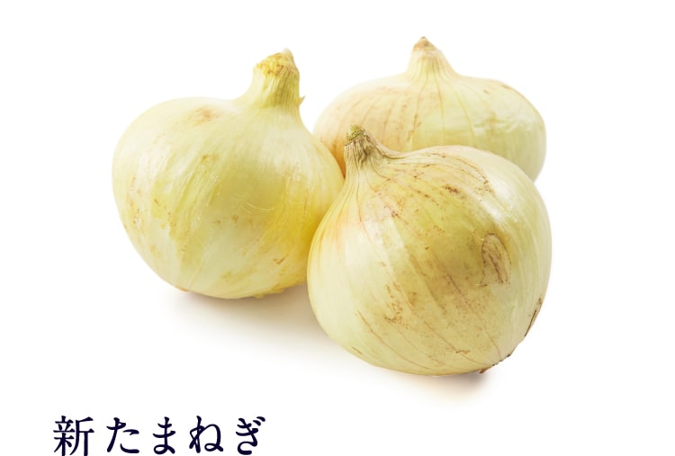 新たまねぎ