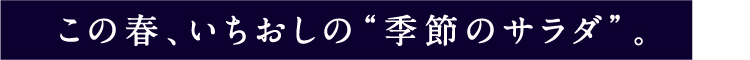 この春、いちおしの“季節のサラダ”。